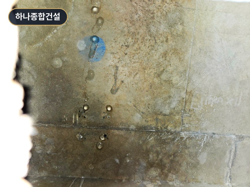 본문 사진