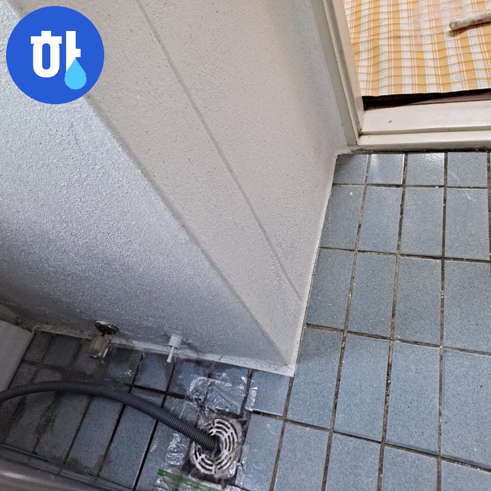 본문 사진