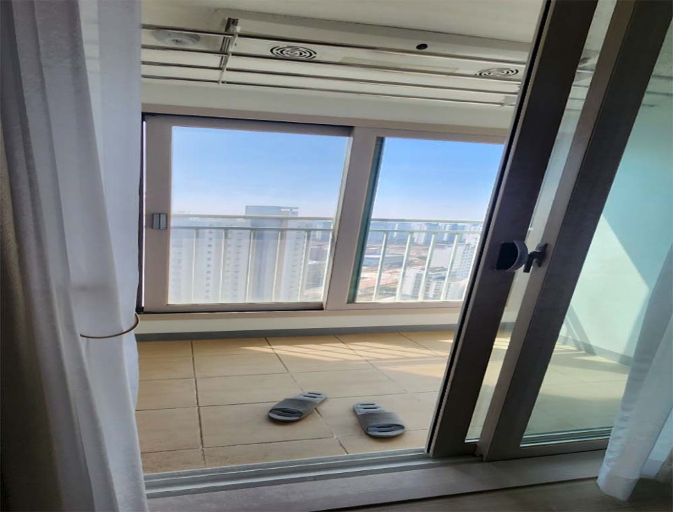 본문 사진