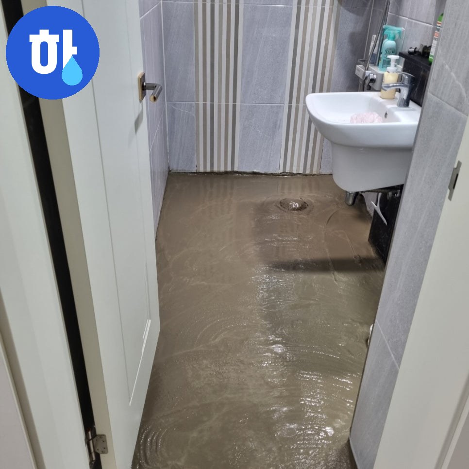 본문 사진