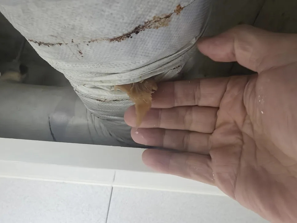본문 사진