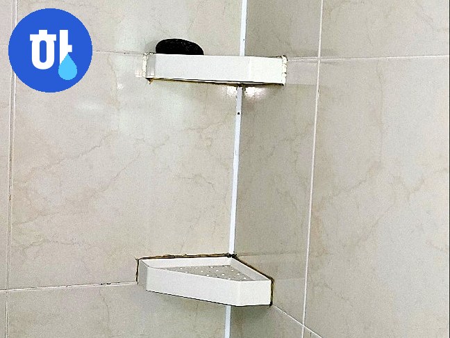 본문 사진