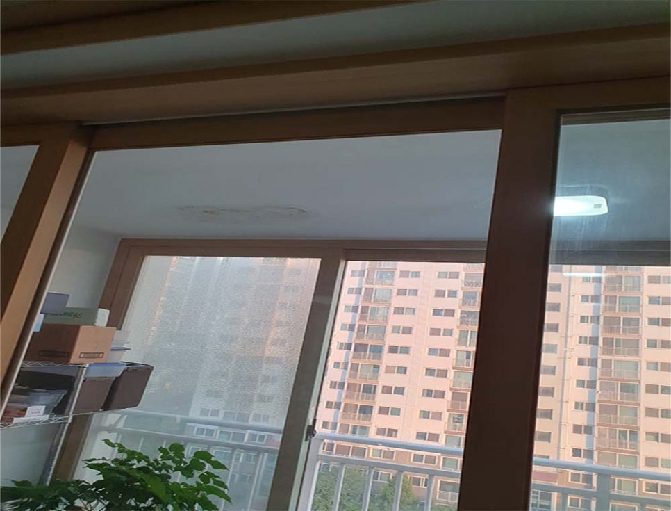 본문 사진