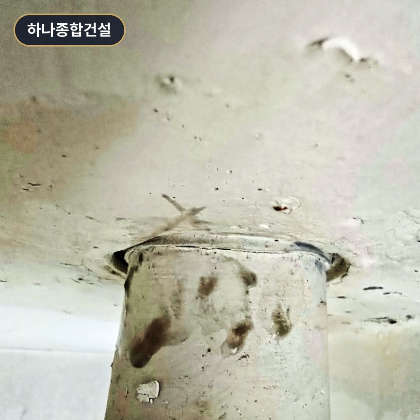 본문 사진