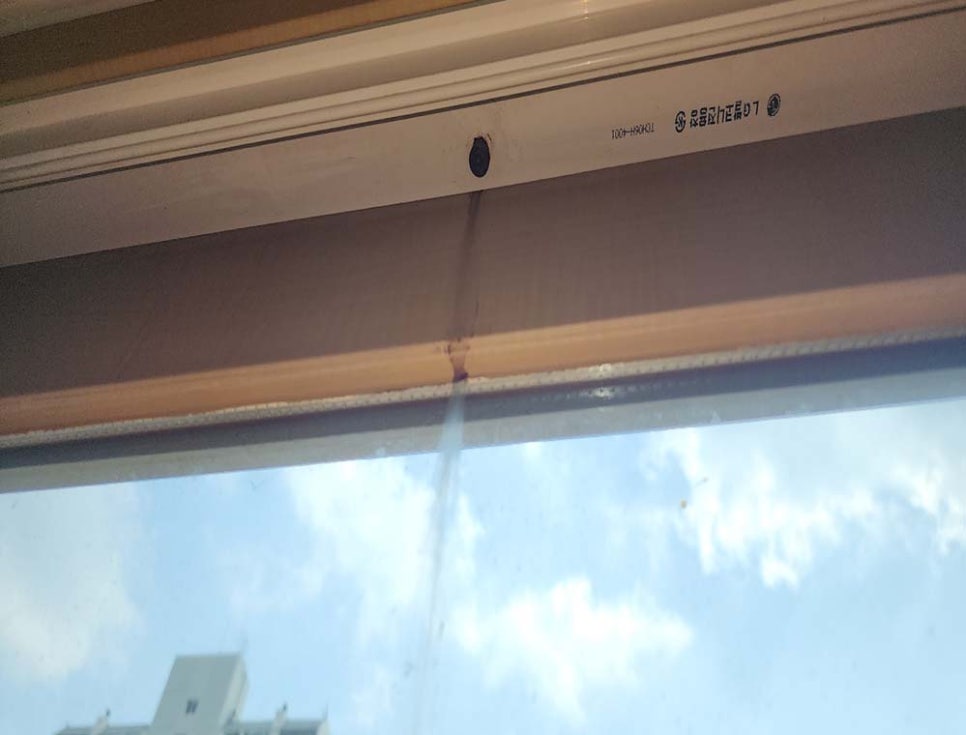 본문 사진