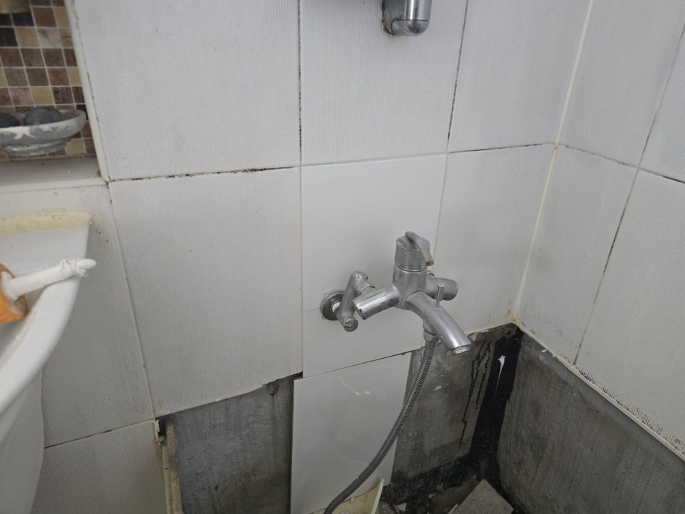 본문 사진
