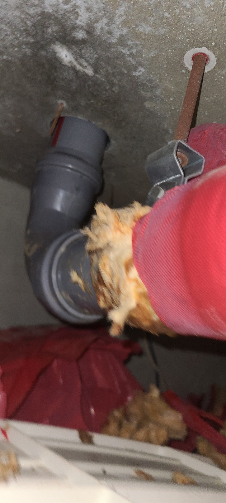 본문 사진