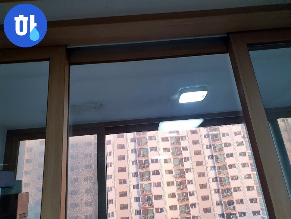 본문 사진