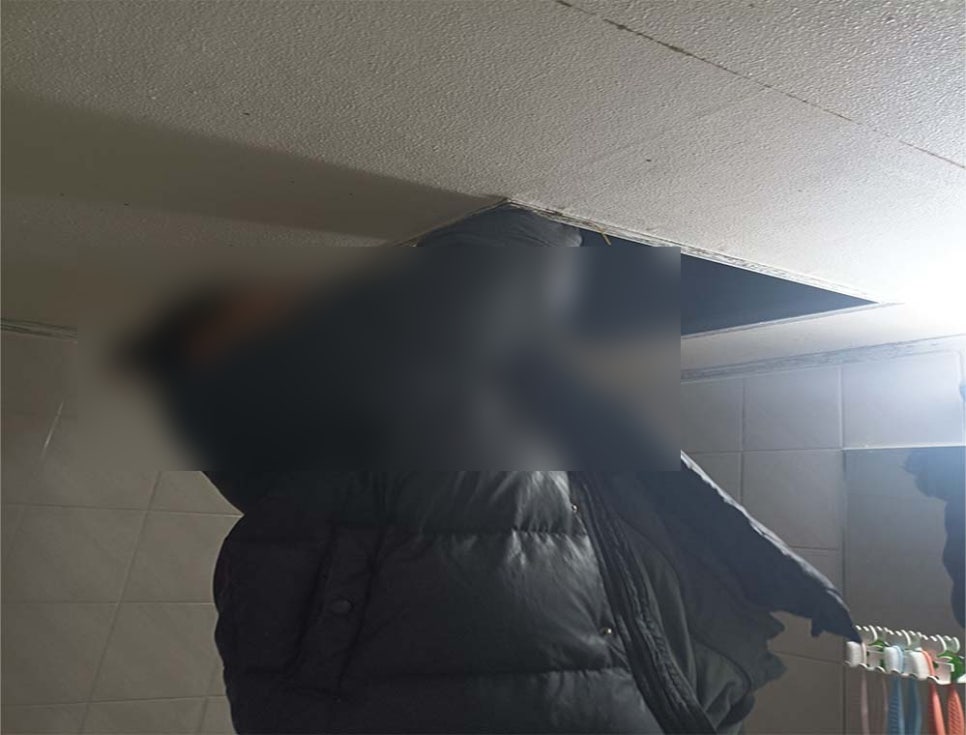 본문 사진