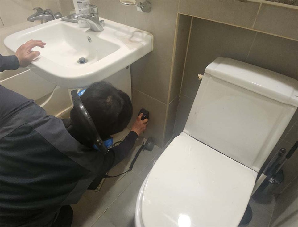 본문 사진