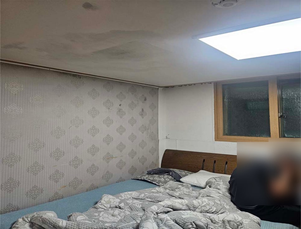 본문 사진