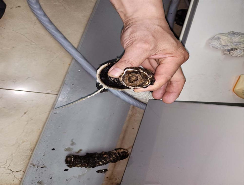 본문 사진
